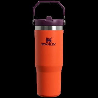 Stanley Flip Straw Tumbler Tigerlily